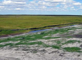 Erosion control matting can speed vegetation establishment