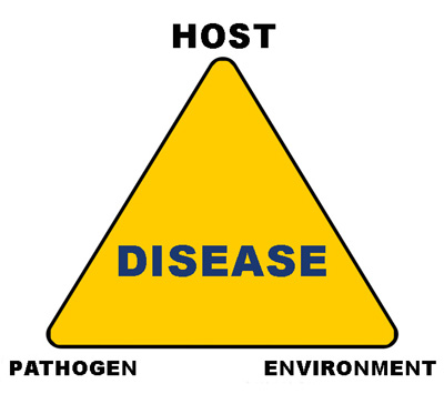 disease triangle