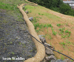 Straw Waddles