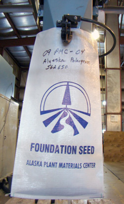 Foundation seed