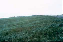 The same site on Shemya Island in September 1988.